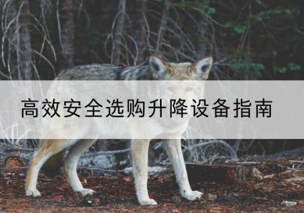 郧西升降货梯厂家推荐-*安全选购升降设备指南