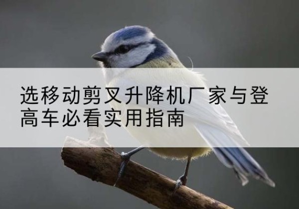 郧西电动升降机厂家-选移动剪叉升降机厂家与登高车必看实用指南