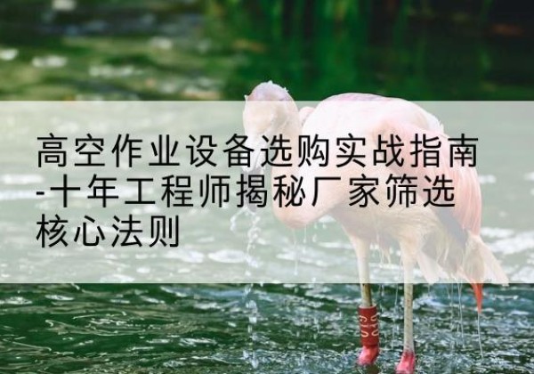 郧西剪叉式升降机厂家-高空作业设备选购实战指南-十年工程师揭秘厂家筛选核心法则